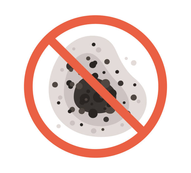 Professional Mold Removal in St Lawrence, PA