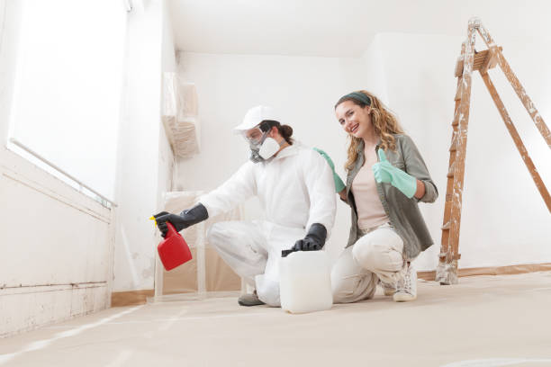 Best Emergency Mold Remediation  in St Lawrence, PA